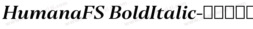 HumanaFS BoldItalic字体转换